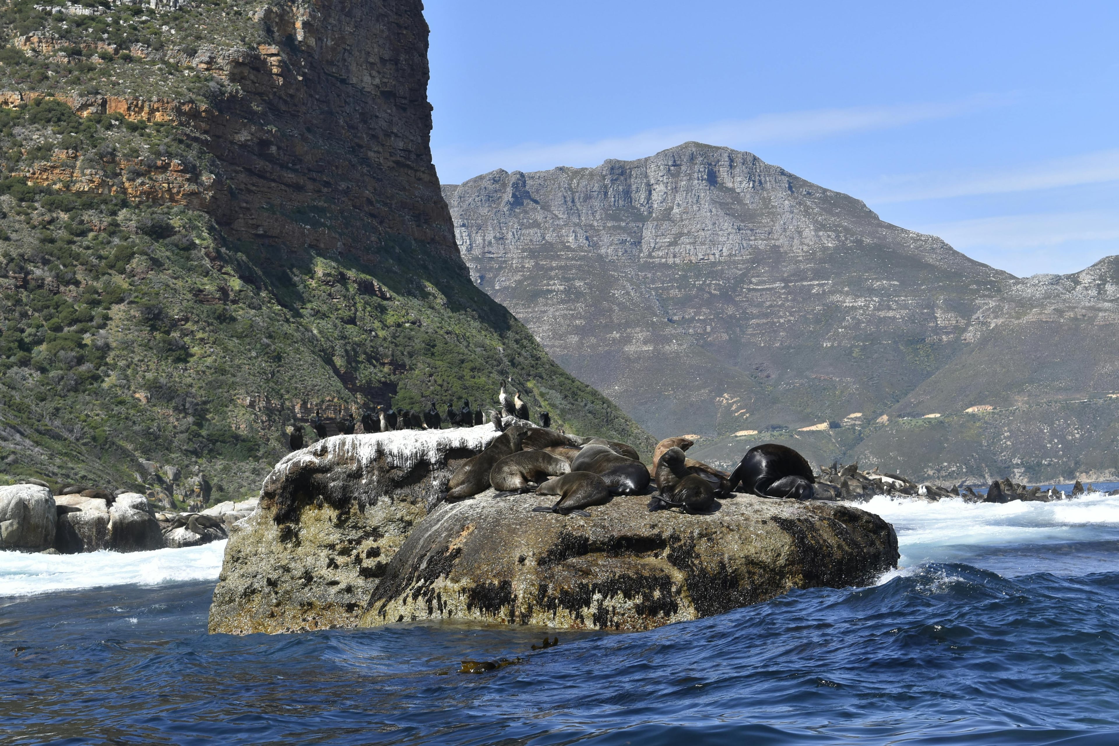 Hout Bay harbour ringed by mountains, looking out toward Seal Island